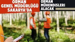 249 sözleşmeli orman mühendisi alınacak