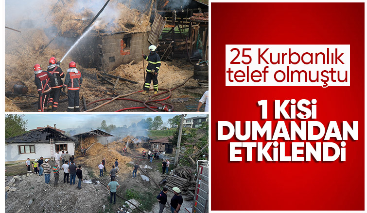 25 kurbanlığın telef olduğu yangına 20 itfaiyeci müdahale etti