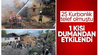 25 kurbanlığın telef olduğu yangına 20 itfaiyeci müdahale etti