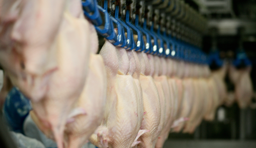 250 işçiyi ücretsiz izne çıkardı