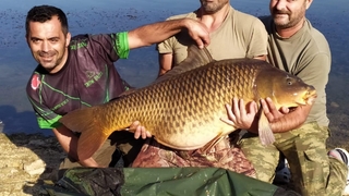 27,5 kiloluk dev sazan yakaladı