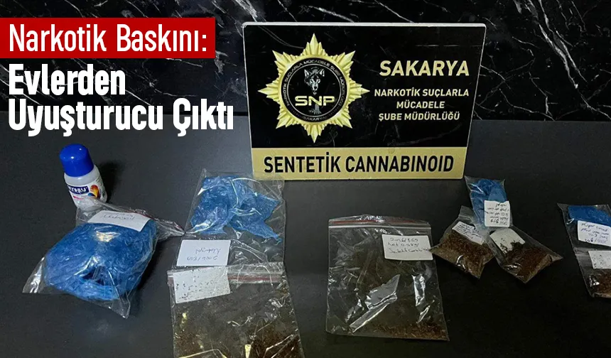 3 adrese baskın, 2 tutuklama