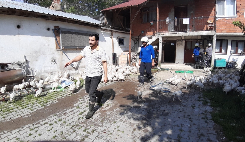 3 bin adet hindi yanmaktan son anda kurtuldu!