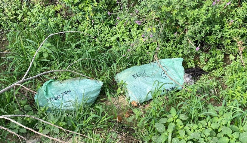 3 çuval dolusu ölü tavuk attılar