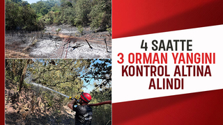 3 ilçede ki orman yangınları kontrol altına alındı