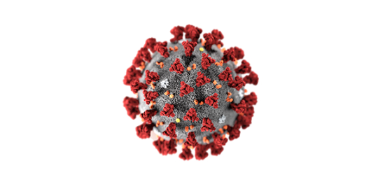 3 ilde Delta plus varyantı görüldü