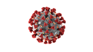 3 ilde Delta plus varyantı görüldü