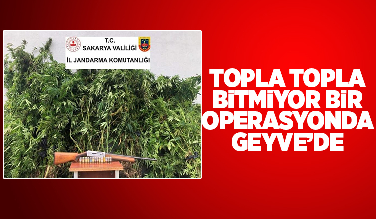 3 kilo 810 gram esrar ile yakalandı