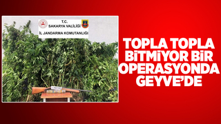 3 kilo 810 gram esrar ile yakalandı