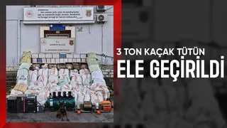 3 ton kaçak tütün ile yakalandılar
