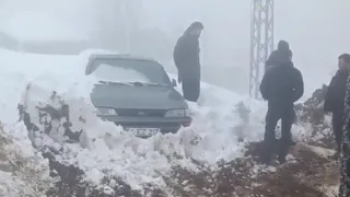 3'ü çocuk 7 kişi yaylada mahsur kaldı