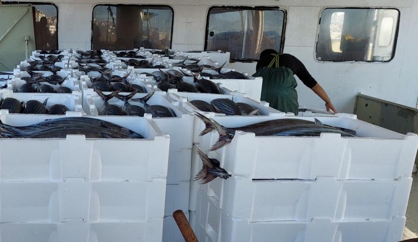 30 ton torik avladılar