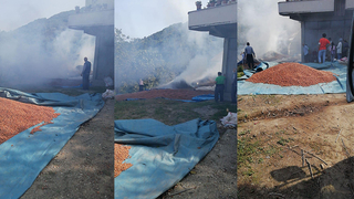 300 kilo fındık yangında zarar gördü