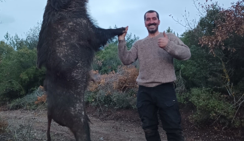 300 kiloluk dev domuz görenleri hayrete düşürdü