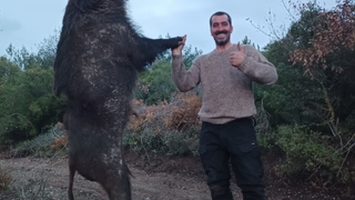 300 kiloluk dev domuz görenleri hayrete düşürdü