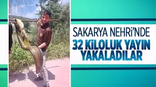 32 kiloluk yayın balığı yakaladılar