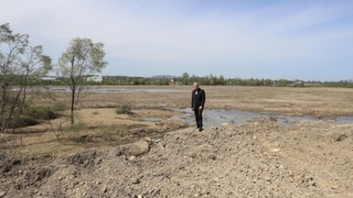 350 dekarlık arazide kenevir üretilecek