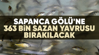 363 bin sazan yavrusu göle bırakılacak