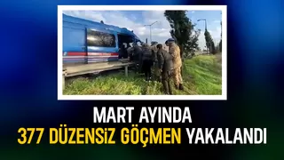 377 düzensiz göçmen ve 14 organizatör yakalandı