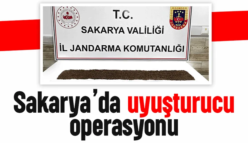 398 gram bonzai ele geçirildi