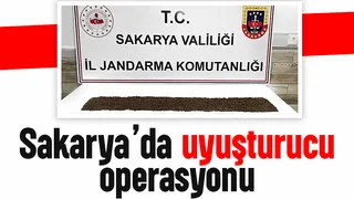 398 gram bonzai ele geçirildi