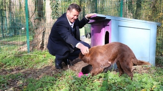 4 ayda 600 sokak hayvanına umut oldular