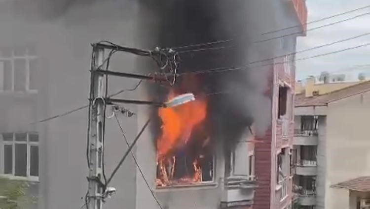 4 katlı binada yangın: 4 yavru kedi telef oldu