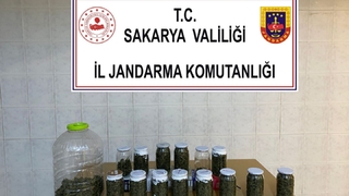 4 kilo 200 gram esrar ele geçirildi