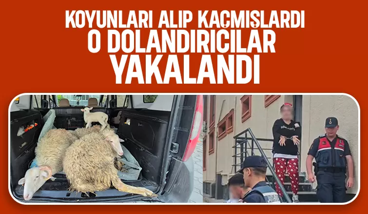 4 koyunu çalan dolandırıcılar yakalandı