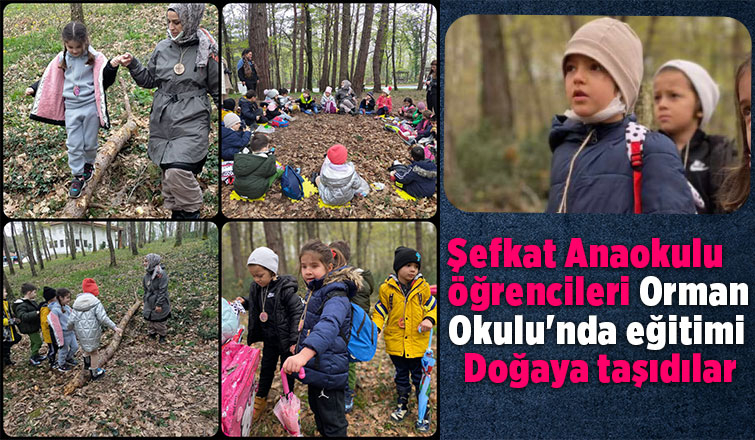 4 Mevsim Çocuk Orman Okulu 