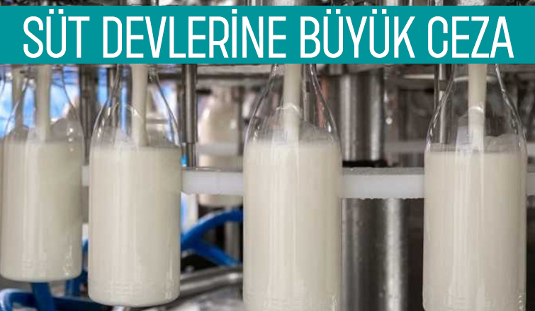 4 süt şirketine haksız fiyatlandırma cezası