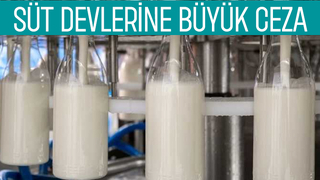 4 süt şirketine haksız fiyatlandırma cezası