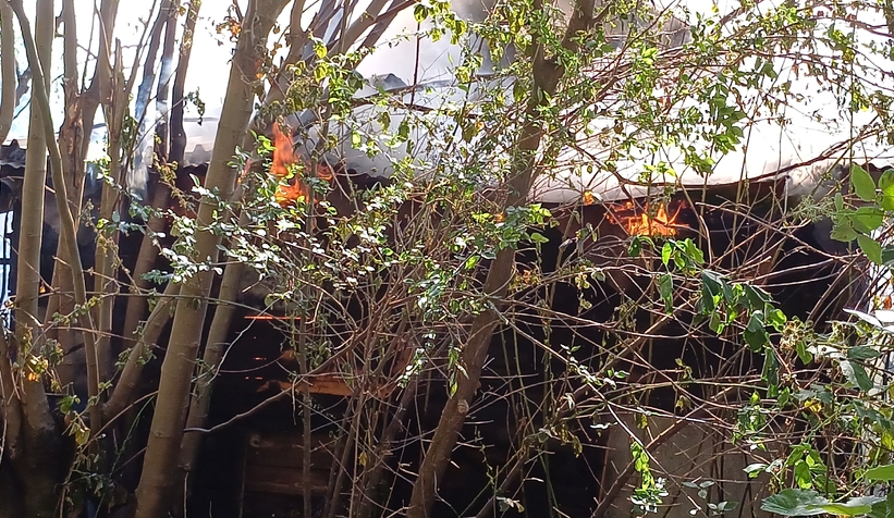 40 yıldır beslediği güvercinleri yangında telef oldu