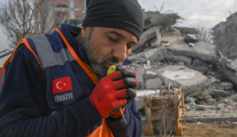 5 gün sonra çıkarılan muhabbet kuşuna Mucize adı verildi