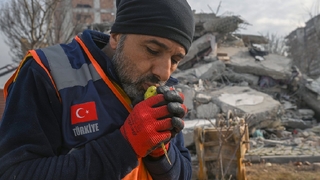 5 gün sonra çıkarılan muhabbet kuşuna Mucize adı verildi