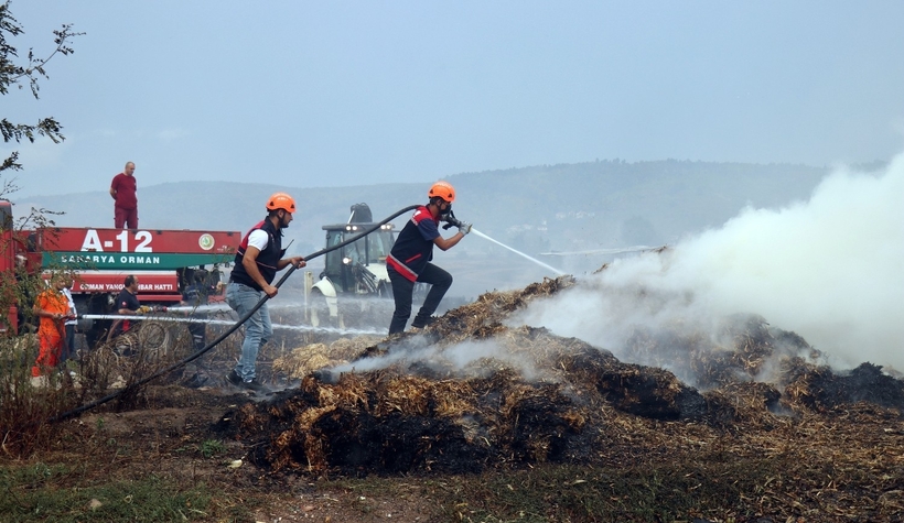 5 ilçede binlerce dönüm arazi kül oldu