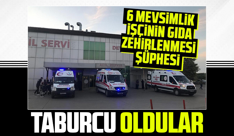 6 mevsimlik işçi taburcu oldu