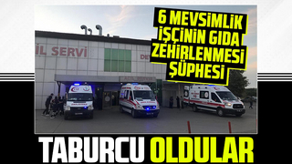 6 mevsimlik işçi taburcu oldu