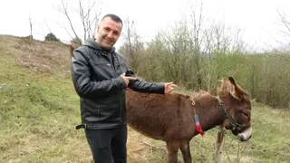7 bin 500 TL’ye satışa çıkarılınca fenomen haline geldi