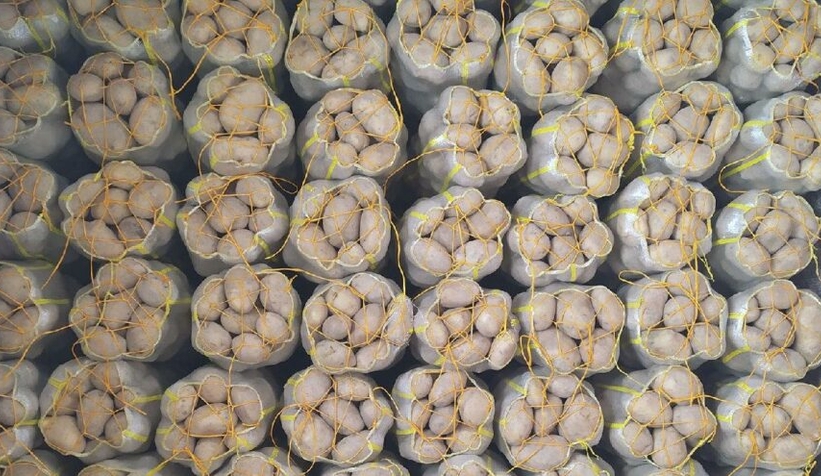 7 bin ton patates elde kaldı