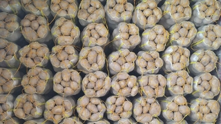 7 bin ton patates elde kaldı