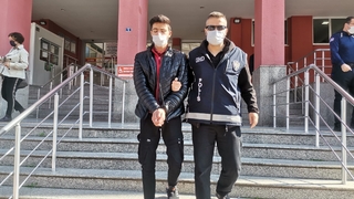 7 düzensiz göçmen yakalandı