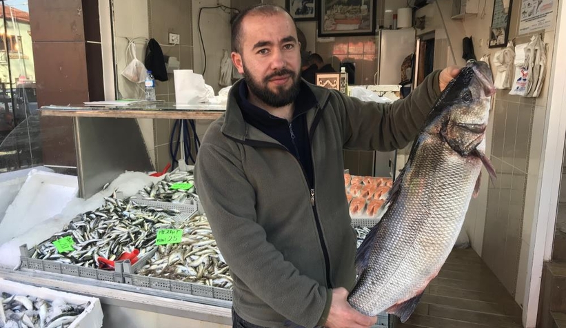 7 kiloluk levrek avlandı