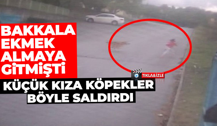 7 yaşındaki Eslem'e köpekler böyle saldırdı
