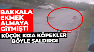7 yaşındaki Eslem'e köpekler böyle saldırdı