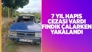 7 yıl hapis cezası vardı, fındık çalarken jandarmaya yakalandı