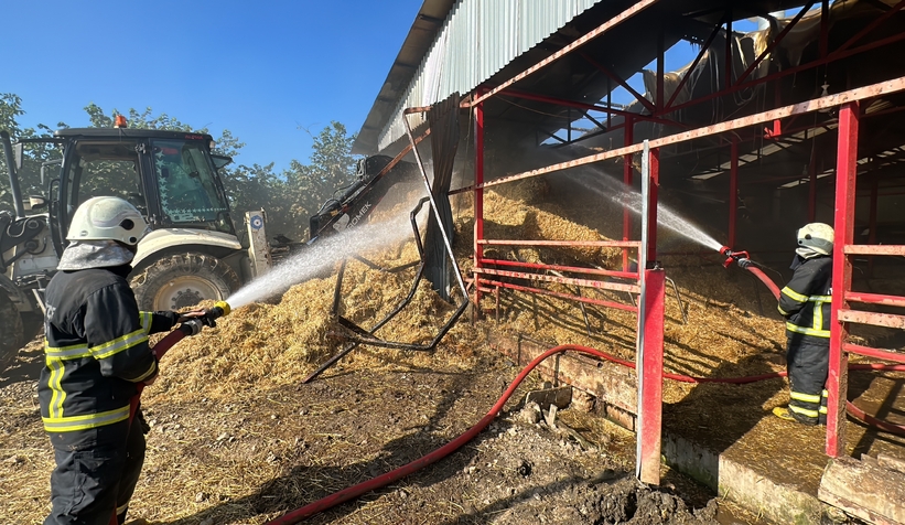 70 büyükbaş hayvanın bulunduğu ahırda yangın