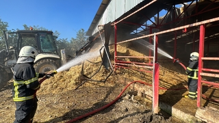 70 büyükbaş hayvanın bulunduğu ahırda yangın
