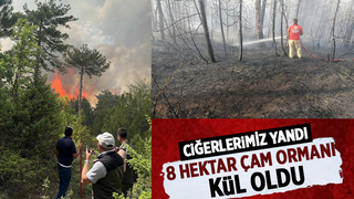8 hektar çam ormanı kül oldu