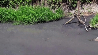 8 mahalleden geçen deredeki kirlilik alarm veriyor